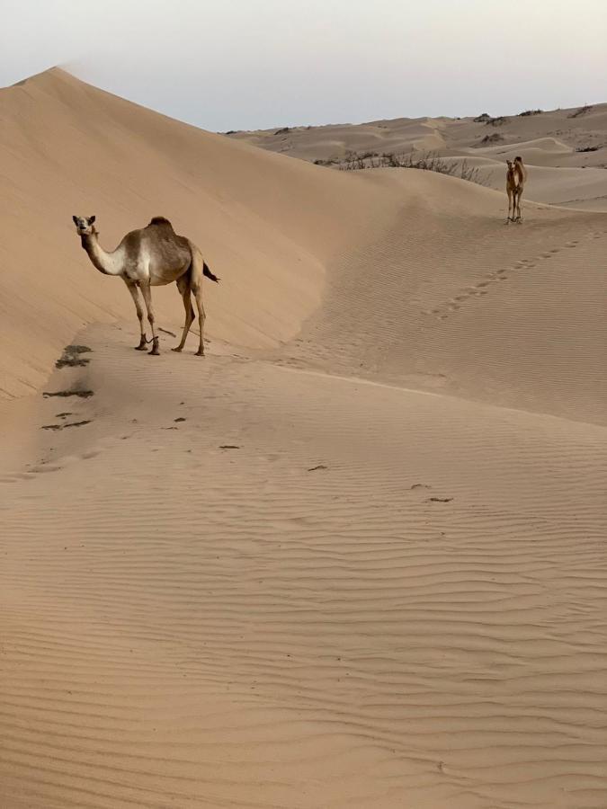 Golden Palm Oasis Hotell Fulayj al Masha'ikh Exteriör bild