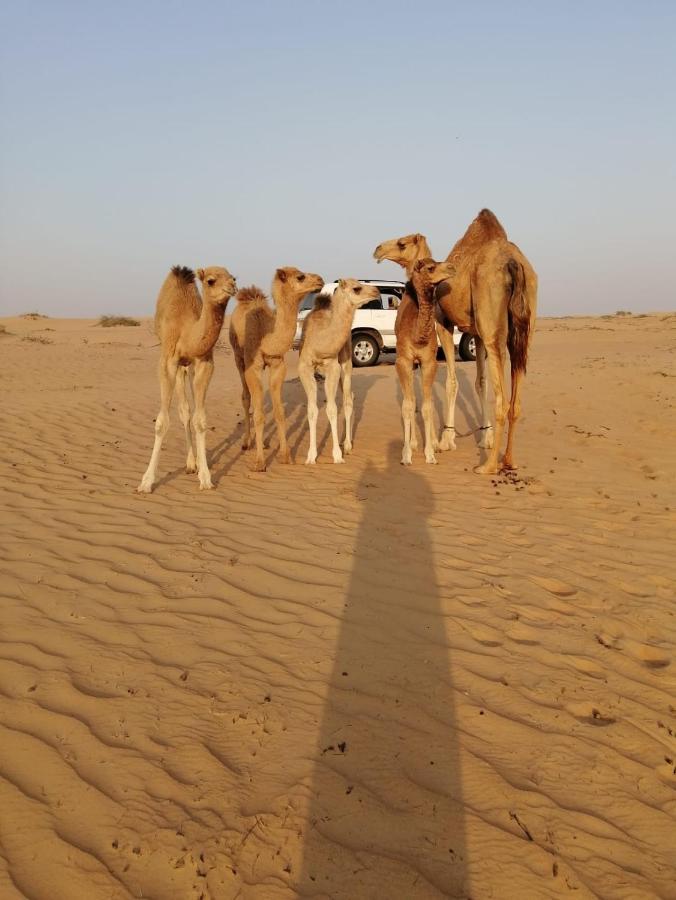 Golden Palm Oasis Hotell Fulayj al Masha'ikh Exteriör bild